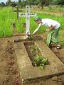 0063 Graf Zr. Medarda bunia